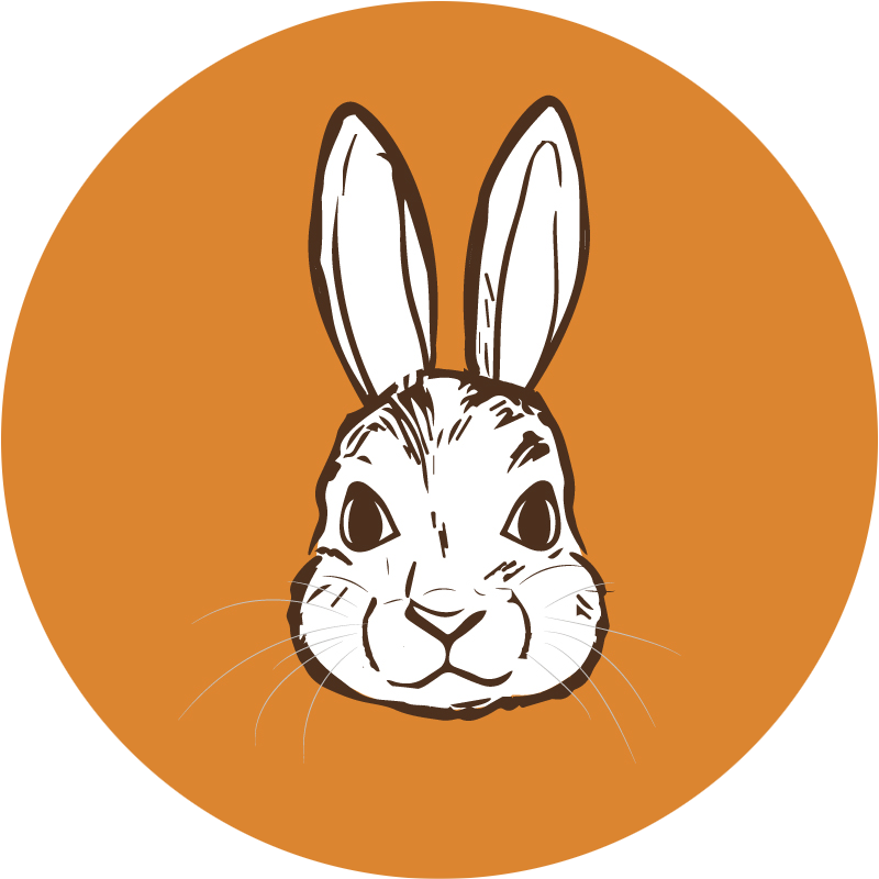 Blog da Vegan Bunny